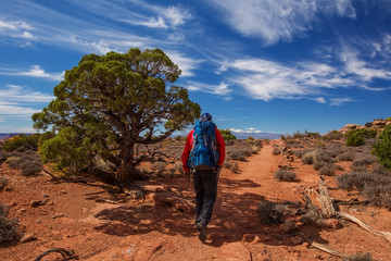Fototapeta premium Hiker in Canyonlands National park in Utah, USA