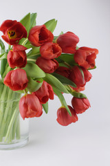 Rote Tulpen Bouquet in Vase