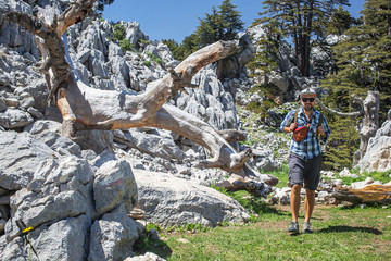 Hiker on lician way