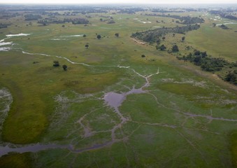 Aerial picture of the Okavango Delta in Botswana during summer period
