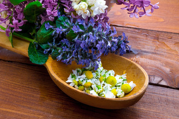 Obraz na płótnie Canvas Lilac and chamomile