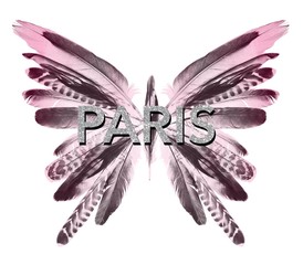 butterfly graphic for t-shirt