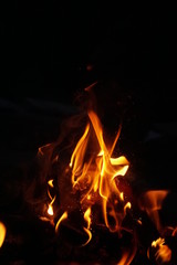 campfire 04