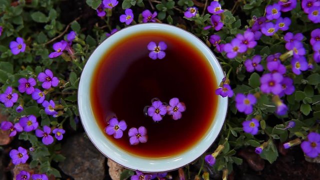Black Chinese Tea garden flowers