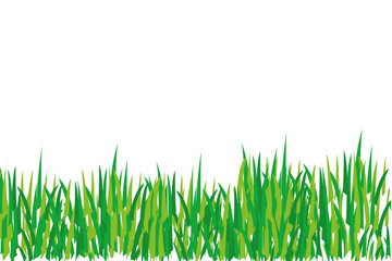 Hierba verde sobre fondo blanco.