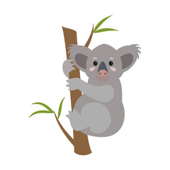 Naklejka premium Cute koala on white background.