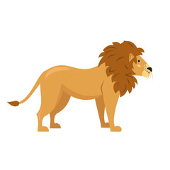 Cute lion on white background.