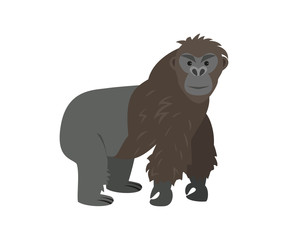 Cute gorilla on white background.