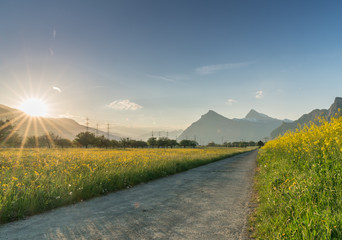Fototapeta na wymiar gravel road parting a rapeseed canola field and a yellow wildflower meadow with the setting sun disappearing behind a beautiful mountain landscape