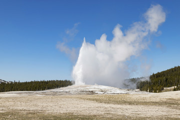 Old Faithful Geyser at Yellowstone National Park