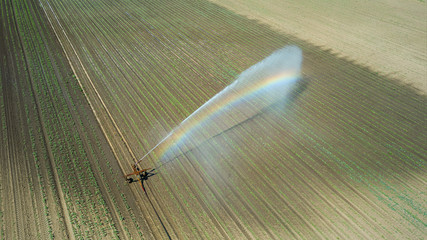 Irrigation equipment watering field. Aerial view. Irrigation of a young plants.