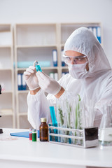 Fototapeta premium Biotechnology scientist chemist working in lab