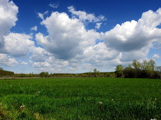 Paisaje de campo con nubes blancas