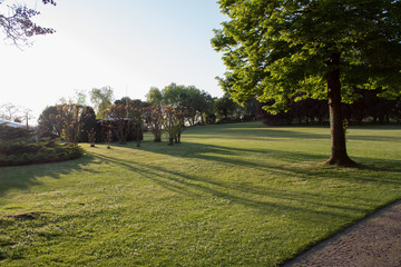 panorama