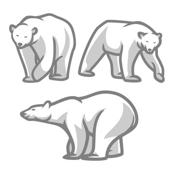 set of polar bear. Polar bear logo.