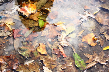 Fall time