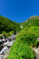 南アルプス　大樺沢から望む北岳