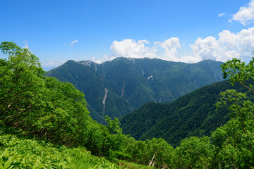 Fototapeta na wymiar 南アルプス　鳳凰三山　北岳からの眺め
