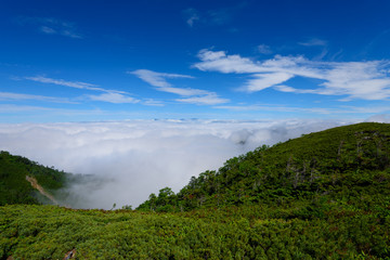 Fototapeta na wymiar 南アルプス　三伏山からの眺め