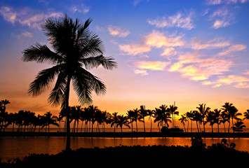 Fototapeta na wymiar Palm tree silhouettes at Anaehoomalu Bay, on Big Island, Hawaii