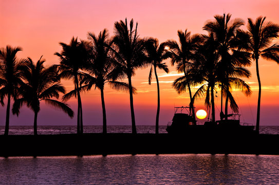 Setting sun with palm tree and boat silhouettes at Anaehoomalu Bay, Big Island, Hawaii