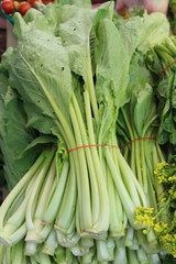 Obraz premium Fresh choy for cooking at street food