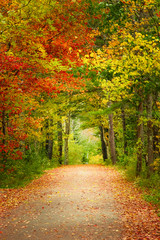 Scenic autumn foliage country road in Maine, New England
