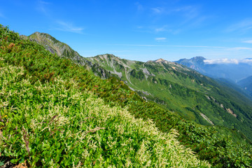 北アルプス　裏銀座縦走ルート　水晶岳