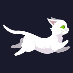 White cat running