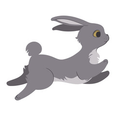 Jumping bunny illustration