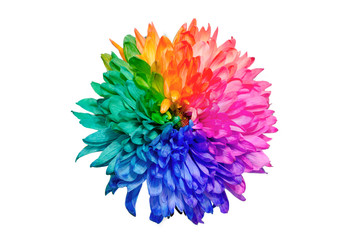 Beautiful multicolored flowers background frame