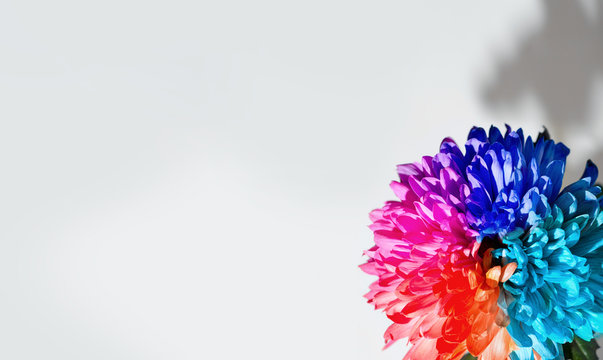 Beautiful multicolored flowers background frame - Powered by Adobe