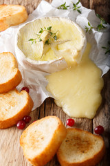 baked camembert cheese with thyme and garlic served with roasted bread close-up. vertical
