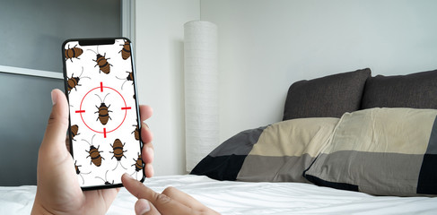 Women are checking for unusual things and detecting bed bugs in the bedroom.