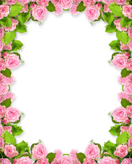 Pink roses frame isolated on white background