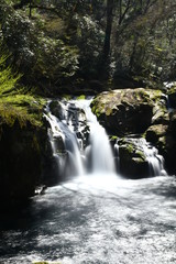 Fototapeta na wymiar 旅先で出会った小さな滝