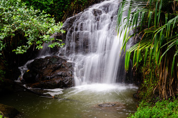 Obraz premium hawaii