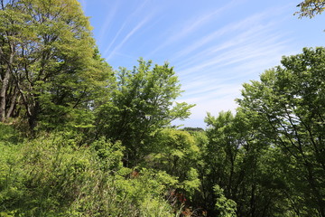大和葛城山