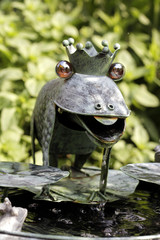 Partnersuche froschkönig Froschkönig in Kassel auf