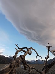 Dry dead branches and stormy cloud formations, New Zealand