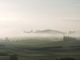 Fog on green hills in the morning, New Zealand