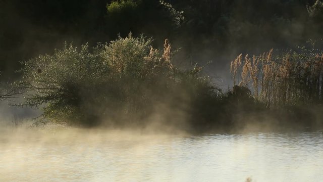 Scenic landscape of drifting mist over water at sunrise, South Africa