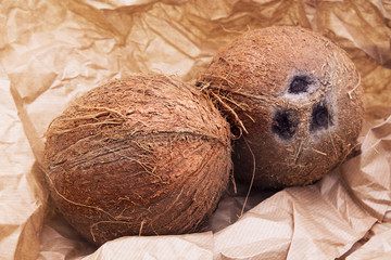 coconuts on wrapping paper background © tetxu