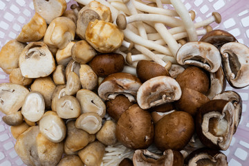Mushrooms in basket