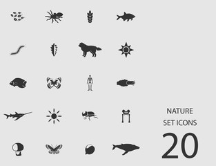 Nature set of flat icons. Vector illustration