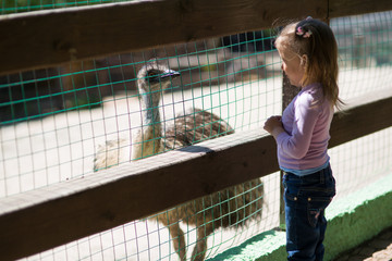 a girl looking at an ostrich