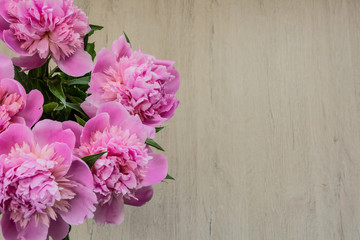 Fototapeta na wymiar Beautiful pink peonies for Mother's Day