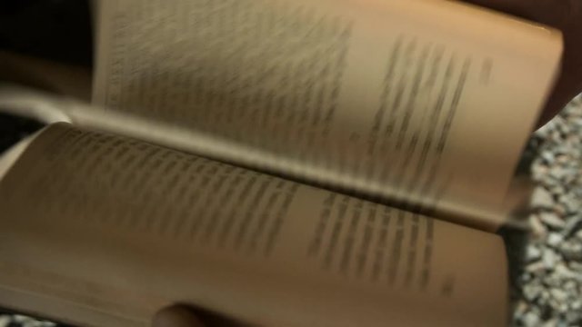 Person finding an old book