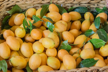 Naklejka na ściany i meble mariam plum, plum from garden prepare in basket