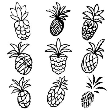 Pineapples sketch set